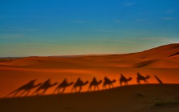 Las dunas de Erg CHEBI (Merzouga) - Salidas diarias